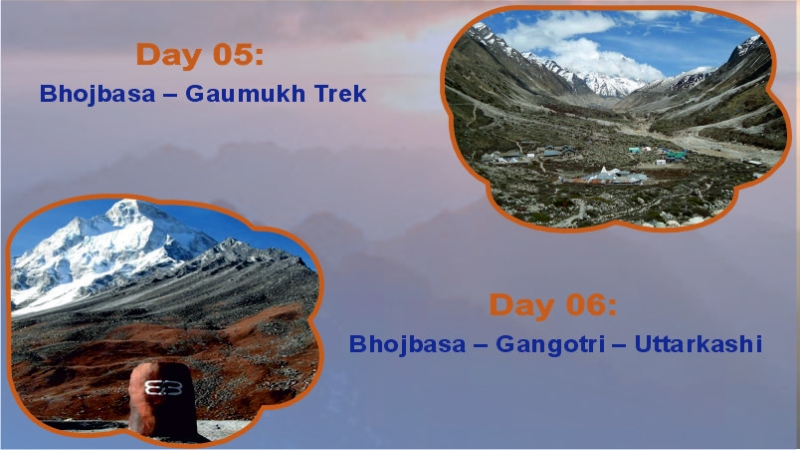 Gangotri Gaumukh Trek